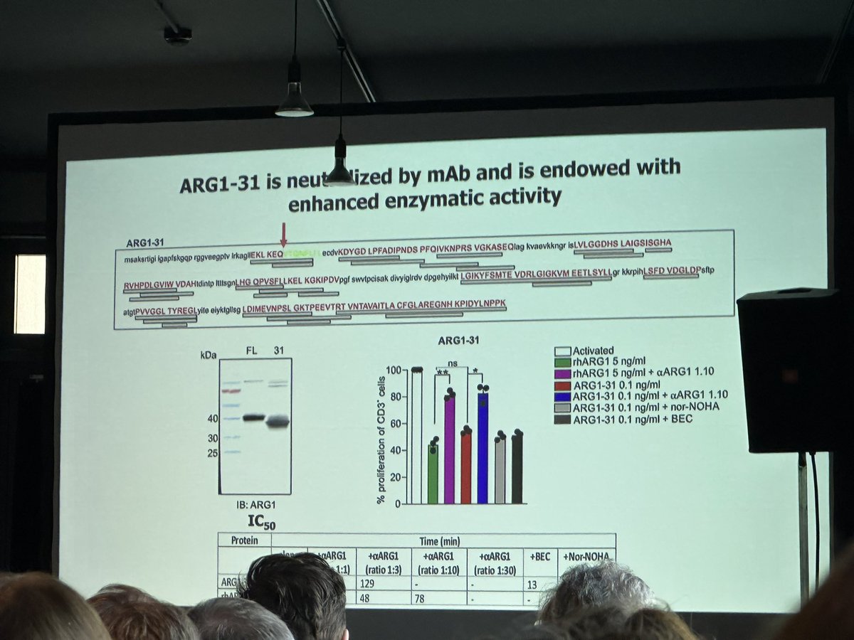 BernardAFox's tweet photo. 6) Prof Vincenzo Bronte #cancer #immunology Expert #Padova - Cathepsin S #CTSS - co-localizes with ARG in NETs - hi Mol wt bands reduced ARG/neutralization incr function of #PDAC #TIL /incr IFNG & IL-2 @letswinpc @PancreaticCanUK @PanCAN @lustgartenfdn #TIMO2023 @romleidner https://t.co/7dmKnwTa4l