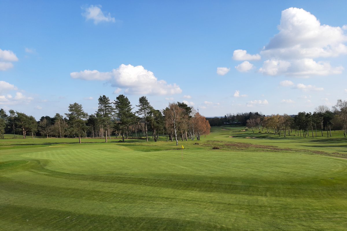 GolfClubSec's tweet photo. Well done to Bob Ellis of @OltonGolfClub who led the field in our final 26th #GCSOpen qualifier @CoxmoorGC on Monday with an excellent 39 points. Next stop The Finals @GullaneGolfClub in a month's time... https://t.co/wcrN2v4RHL