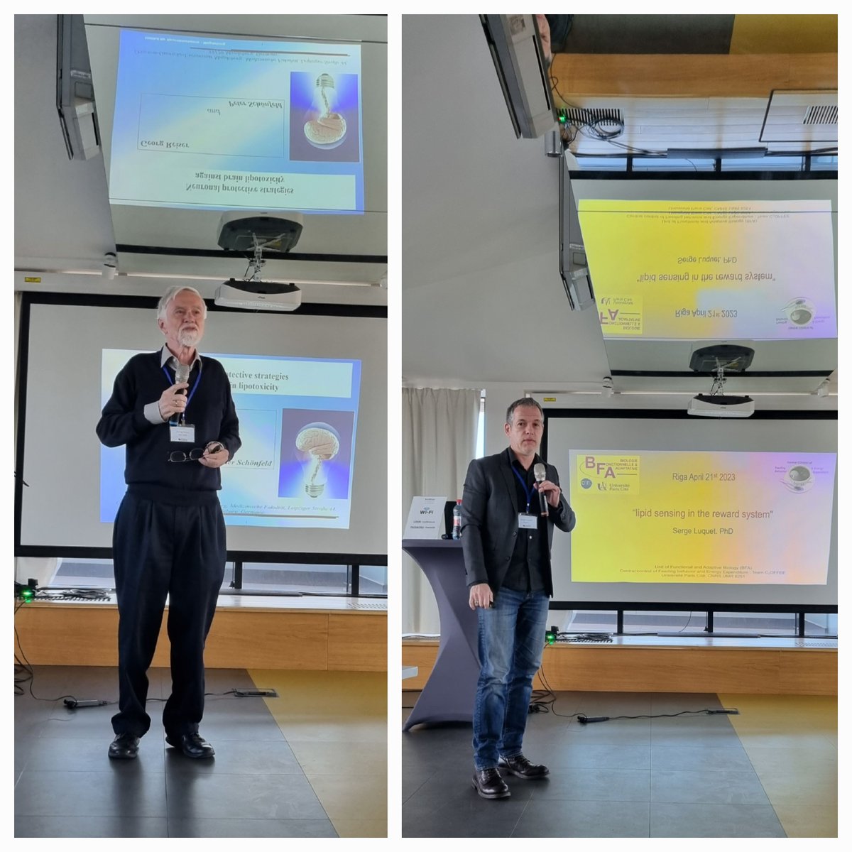 fat4brain tweet media