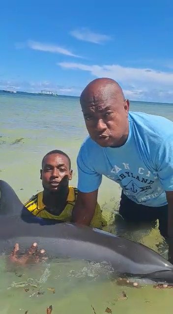 Kenya Wildlife Service, Watamu tweet media