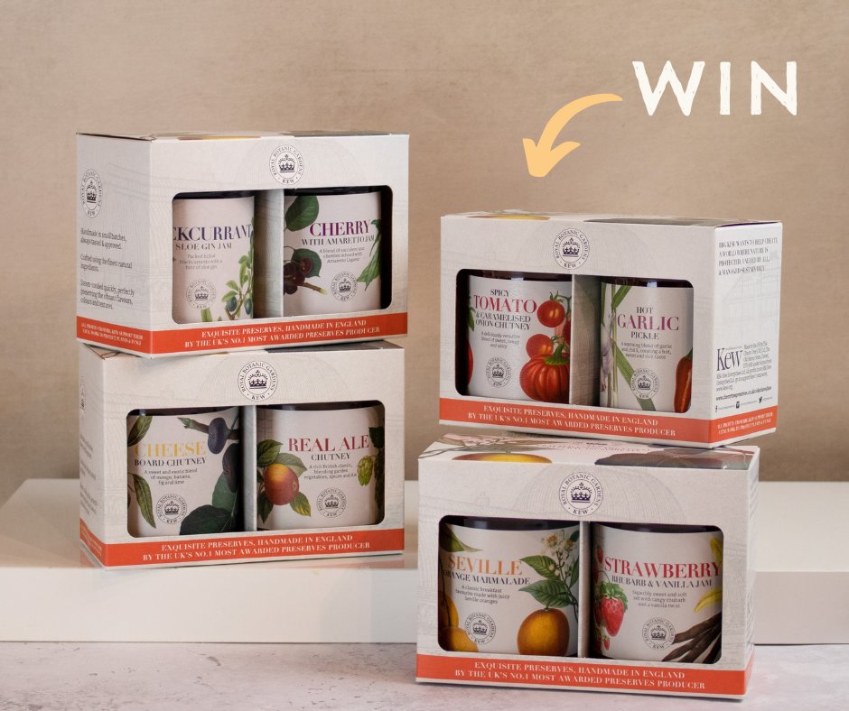 Cherry Tree Preserves tweet media