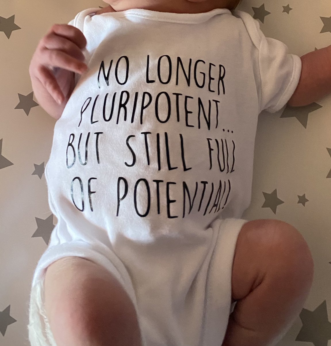 Newest lab member has arrived! Amazing job by <a href="/LizWiz8144/">Liz Scott</a> carrying out the bulk of cell culture required.