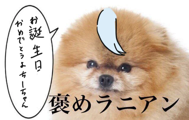 @chichan54 おたんたんおめおめ! 