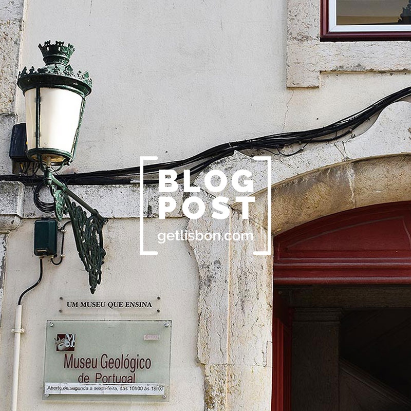 getLISBON's tweet photo. 👉️🇬🇧BLOG POST: As the World Earth Day and the National Geological Heritage Day are coming soon, we suggest you visit the Geological Museum, where you can discover precious testimonies from other times.
➡️ https://t.co/9ZAjVrXD9h
.
#lisbon #getLISBON #museum #geologicalmuseum https://t.co/19GrHMbsSL