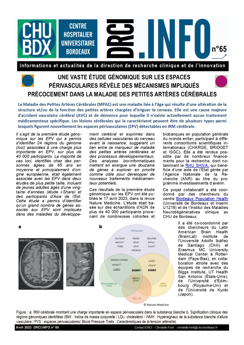[#RECHERCHE] Une étude génomique sur les espaces périvasculaires publiée dans la revue <a href="/NatureMedicine/">Nature Medicine</a> révèle des mécanismes biologiques nouveaux impliqués dans la maladie des petites artères cérébrales, une des principales causes d'@AVC et de démence. 
ℹ️chu-bordeaux.fr/prog/openpage.…