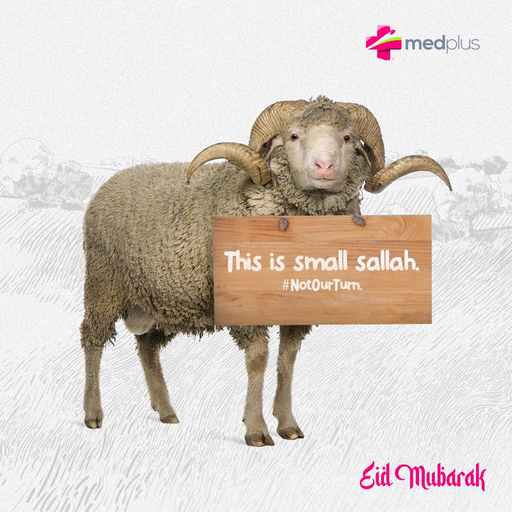 MedplusPharmacy's tweet photo. Eid Mubarak from us rams! We may be used to the spotlight, but today it's #NotOurTurn 😉🐏.  

#Medplus #MedplusPharmacy https://t.co/Vc3qbGR4ul
