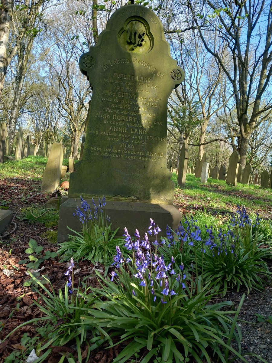 WillowGroveCem's tweet photo. Bluebells in front of this memorial to three generations of the Lang family.
Appropriately the inscription reads 'Peace, perfect peace' https://t.co/URLZOJ1GKm