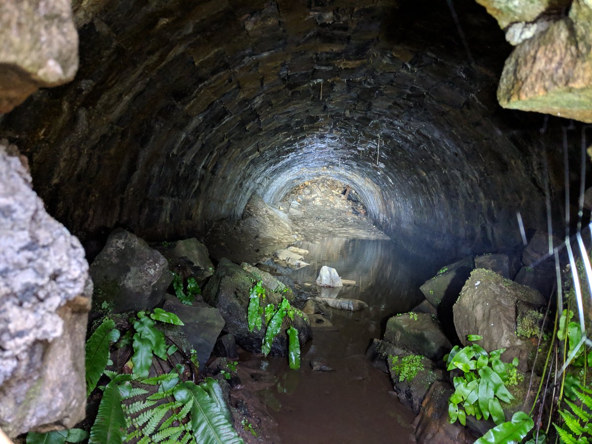 PaulWhitewick's tweet photo. A little throwback from our visit to the Tunnels of the Hills Tramway. https://t.co/Qk4m9qXVM1