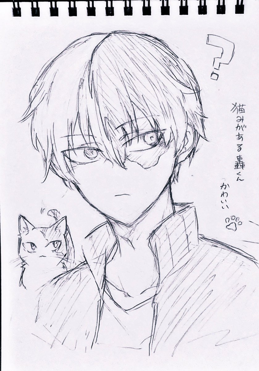久方ぶりのアナログで描いたやつなんですけど、描き直したくなった
あまりにも公式のショートキャットが可愛すぎる 