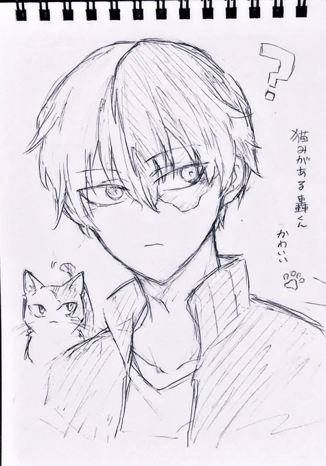 久方ぶりのアナログで描いたやつなんですけど、描き直したくなった
あまりにも公式のショートキャットが可愛すぎる 