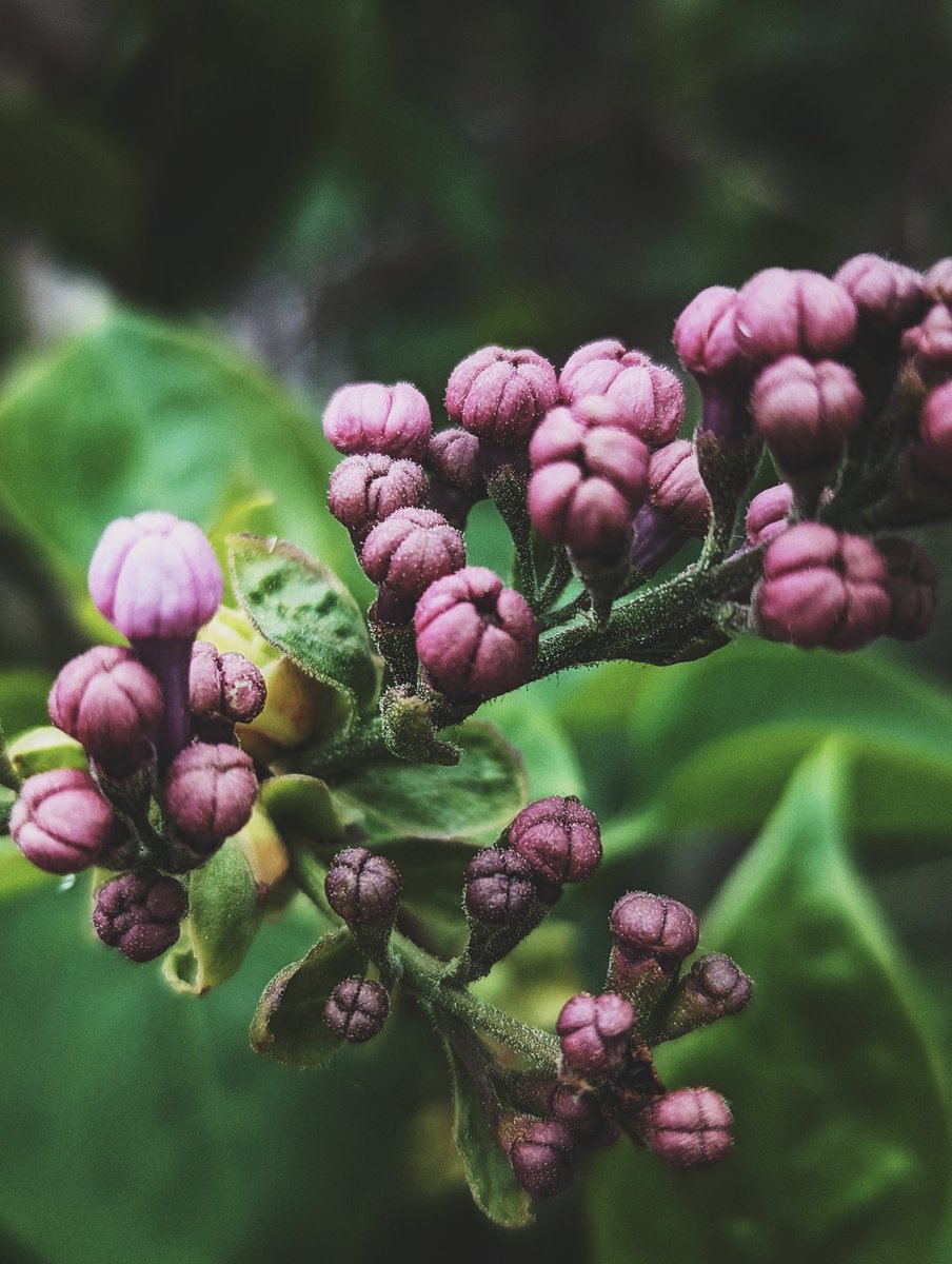 EvaHappyChild's tweet photo. Поймала дзен.

#весна #SpringBreak #NatureBeauty #Flowers #myart #MYWORLD https://t.co/hi8QgF2pxZ