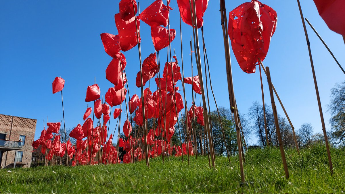 BeaLast's tweet photo. #TheRedBags #SculpturalDrawing installed in the Artist Garden until June 4th @YorkArtGallery. Like a painting that needed revisiting, the install has been added to. All part of the #creativeprocess. Take a look! @AestheticaMag @yorkshirepost @YorkMuseumTrust @YorkshireMuseum https://t.co/br473XBGos