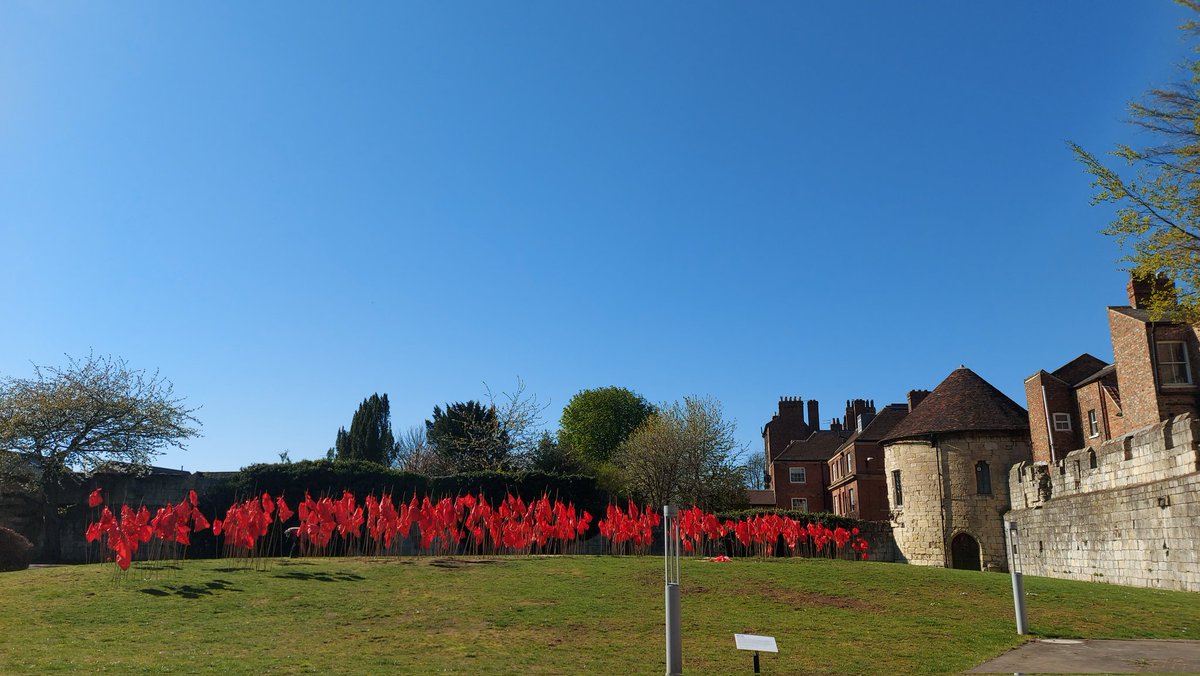 BeaLast's tweet photo. #TheRedBags #SculpturalDrawing installed in the Artist Garden until June 4th @YorkArtGallery. Like a painting that needed revisiting, the install has been added to. All part of the #creativeprocess. Take a look! @AestheticaMag @yorkshirepost @YorkMuseumTrust @YorkshireMuseum https://t.co/br473XBGos