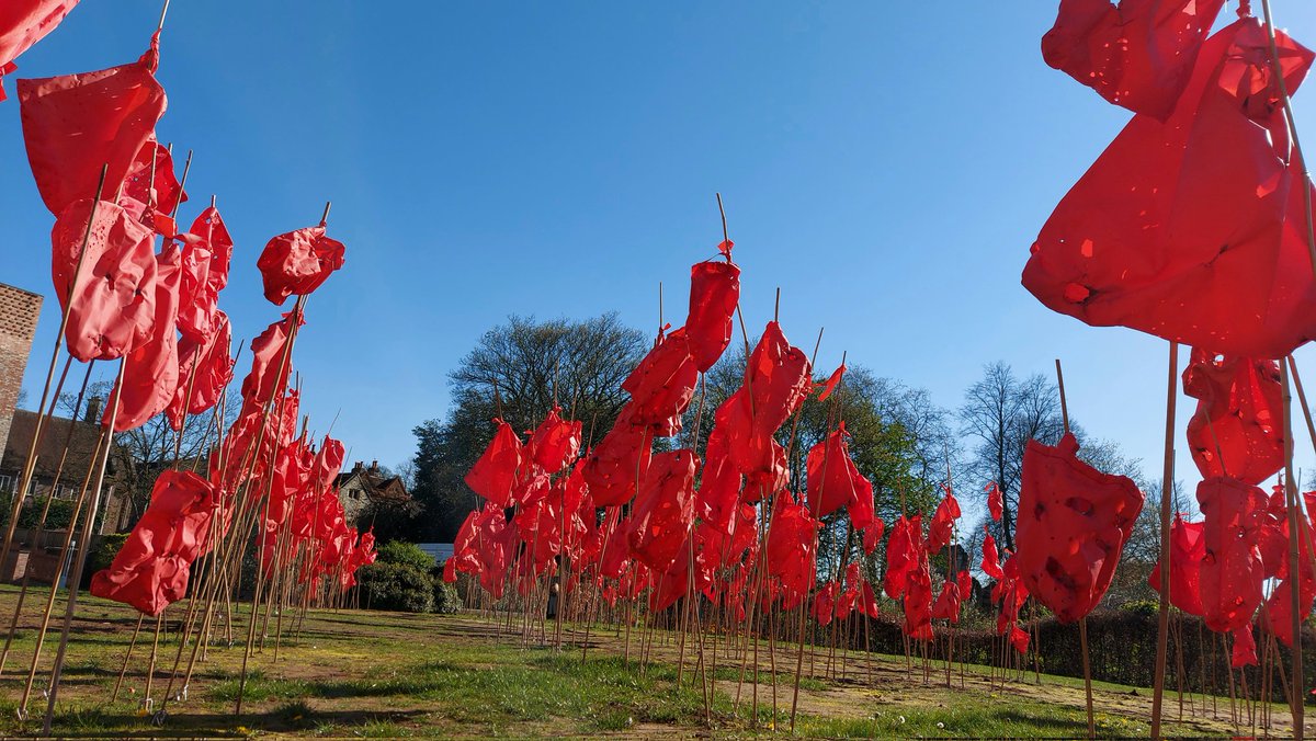 BeaLast's tweet photo. #TheRedBags #SculpturalDrawing installed in the Artist Garden until June 4th @YorkArtGallery. Like a painting that needed revisiting, the install has been added to. All part of the #creativeprocess. Take a look! @AestheticaMag @yorkshirepost @YorkMuseumTrust @YorkshireMuseum https://t.co/br473XBGos