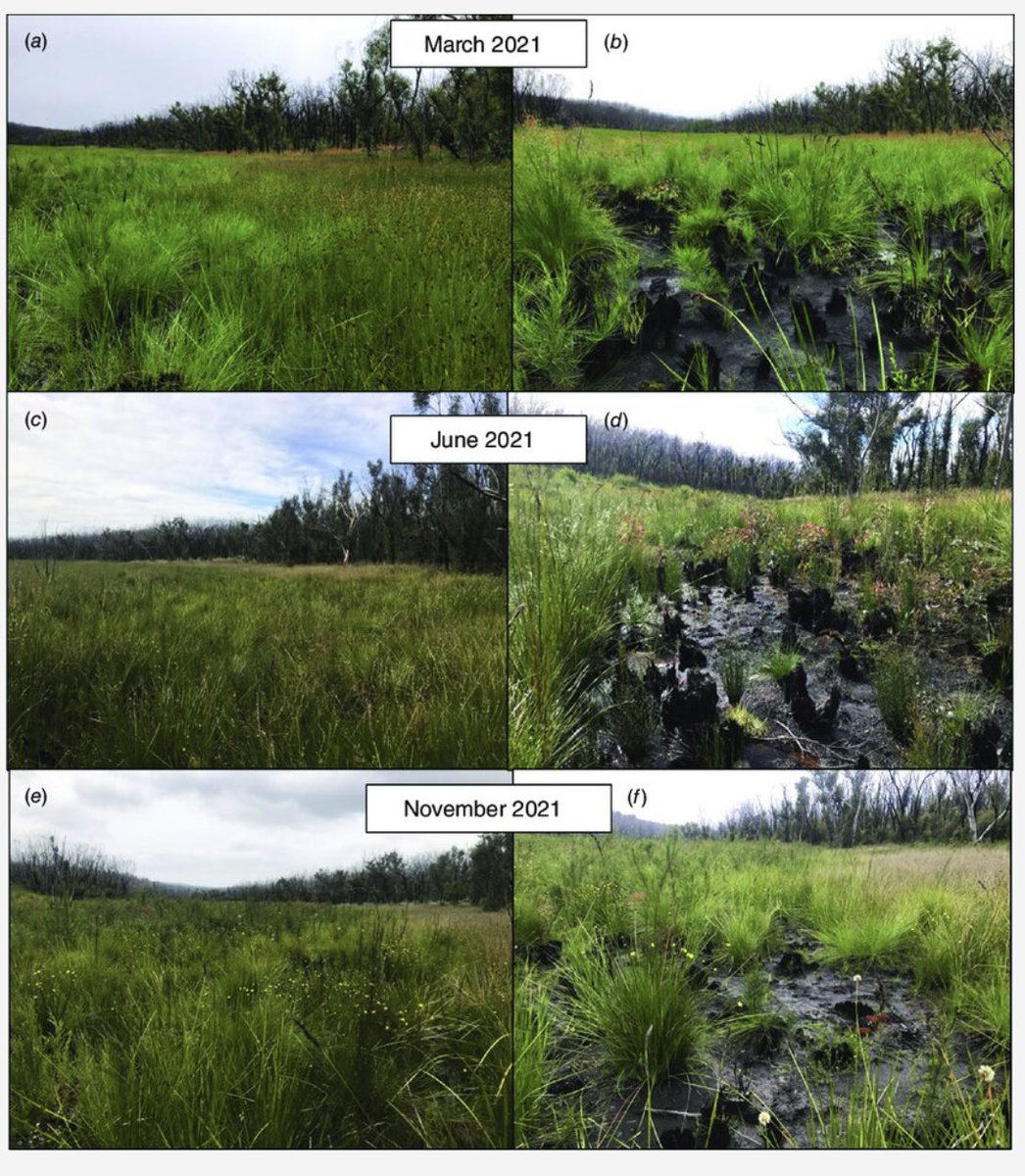 geojase's tweet photo. Visuals of the site in recovery. https://t.co/NZZUEcuhO6