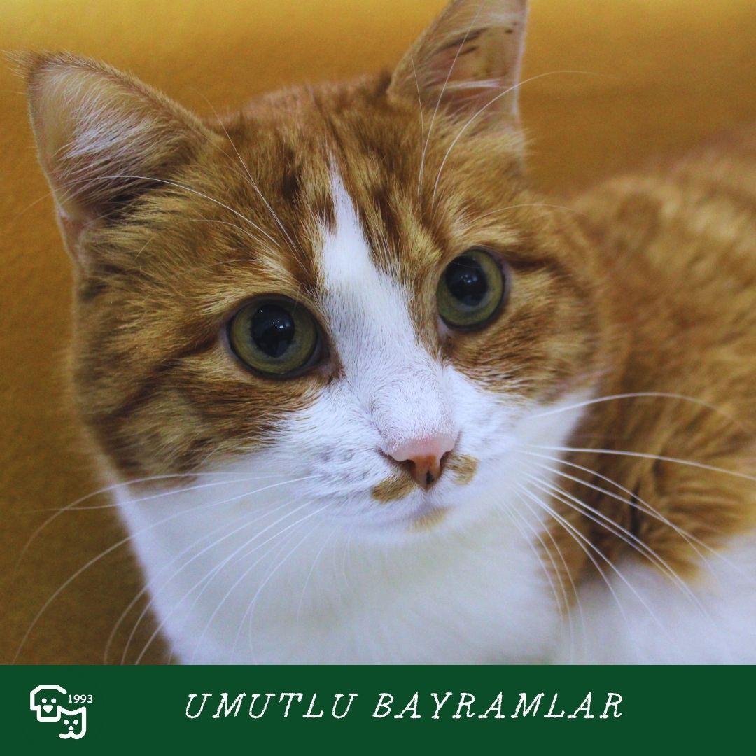 Sevdiklerinizle birlikte mutlu, Umutlu bayramlar ❤