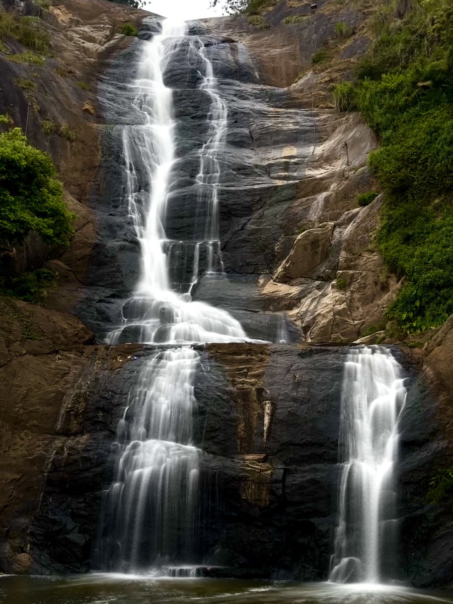 l_e_o_m_o_n's tweet image. 