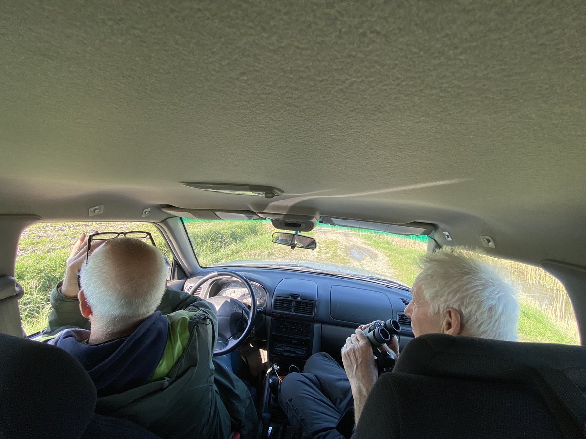 WbOnstaheerd's tweet photo. In kaart brengen van Kieviten, scholeksters,  tureluur en grutto’s op nog onbewerkt bouwland. #zwaarbeheer @CollectiefGWest https://t.co/hXM5AcfNLl