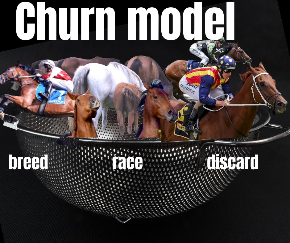 MeetYourMeatNo1's tweet photo. We have what's known as the CHURN MODEL. Horses are bred, 45% do not make it to the track, racing career to last less than 3 years. Discard and start again. @RobertoCardel18 @HorseSlaughter_ @GambleOnHumans @Joni_Looking
#kickupforracing #mohm
https://t.co/xzFm89Bstr https://t.co/oyXOl6ybt0