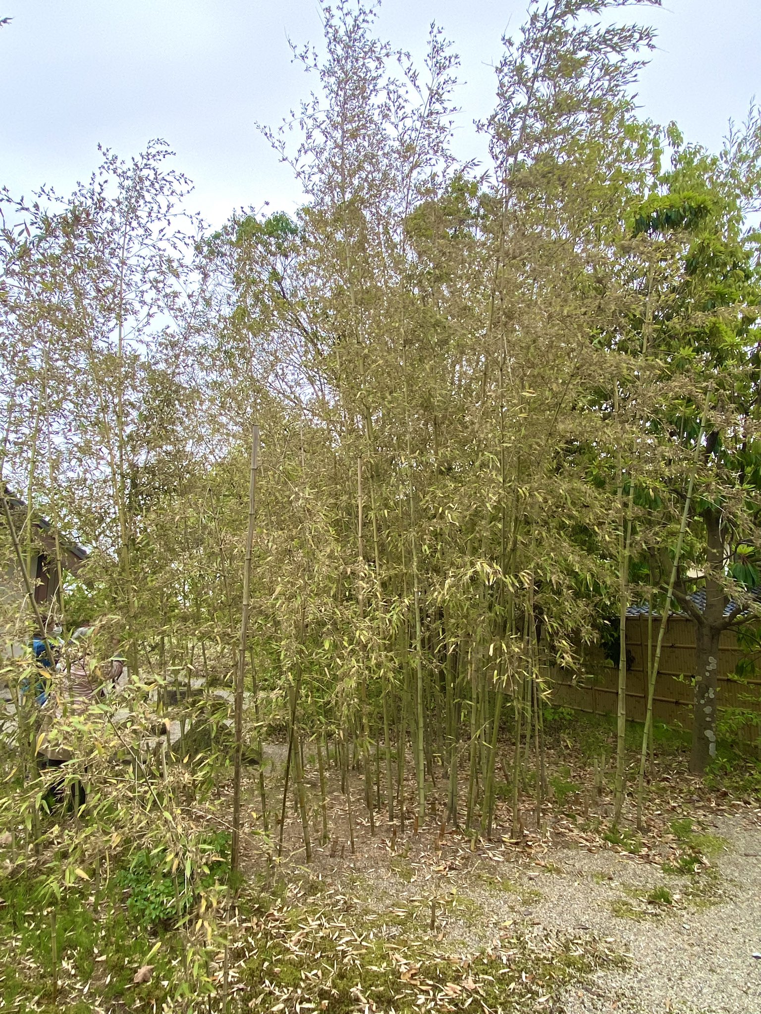 sanmames824 on Twitter 