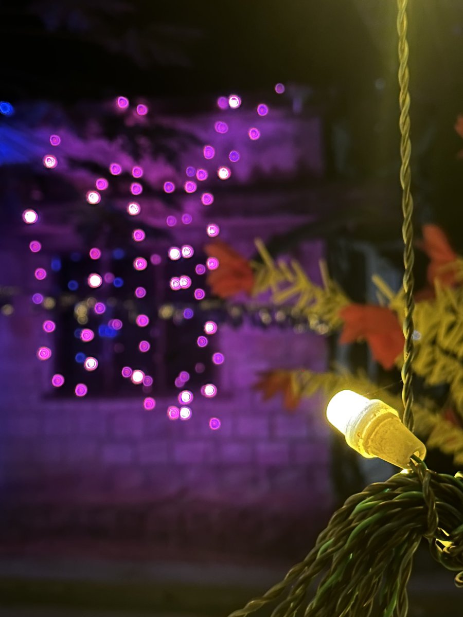 l_e_o_m_o_n's tweet image. 