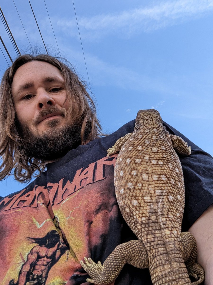 webbedupexotics's tweet photo. @SnakeBytesTV That's the spirit Brian! Always on our mind. It was great watching you at the zoo especially as I grew up going to those zoos! This is Simba btw he is the yearling male sav I've been raising from a hatchling. We have 7 in a breeding project at Webbed up Exotics.
#prayforbrian https://t.co/H8Jo7JaPdj