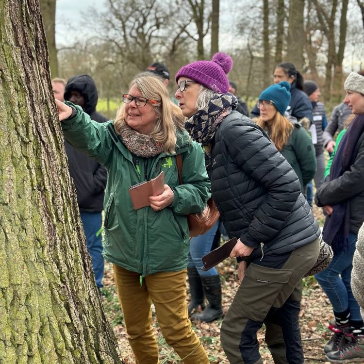BactPlantDis's tweet photo. NEW BLOG POST: a report from the recent oak stakeholder meeting organised by #BACSTOP @Forest_Research and @FutureOak_ with some great photos from @summerislefilms 🌳🦠 Read it here 👉 https://t.co/a7qY8K6UKb https://t.co/MVtubolbms