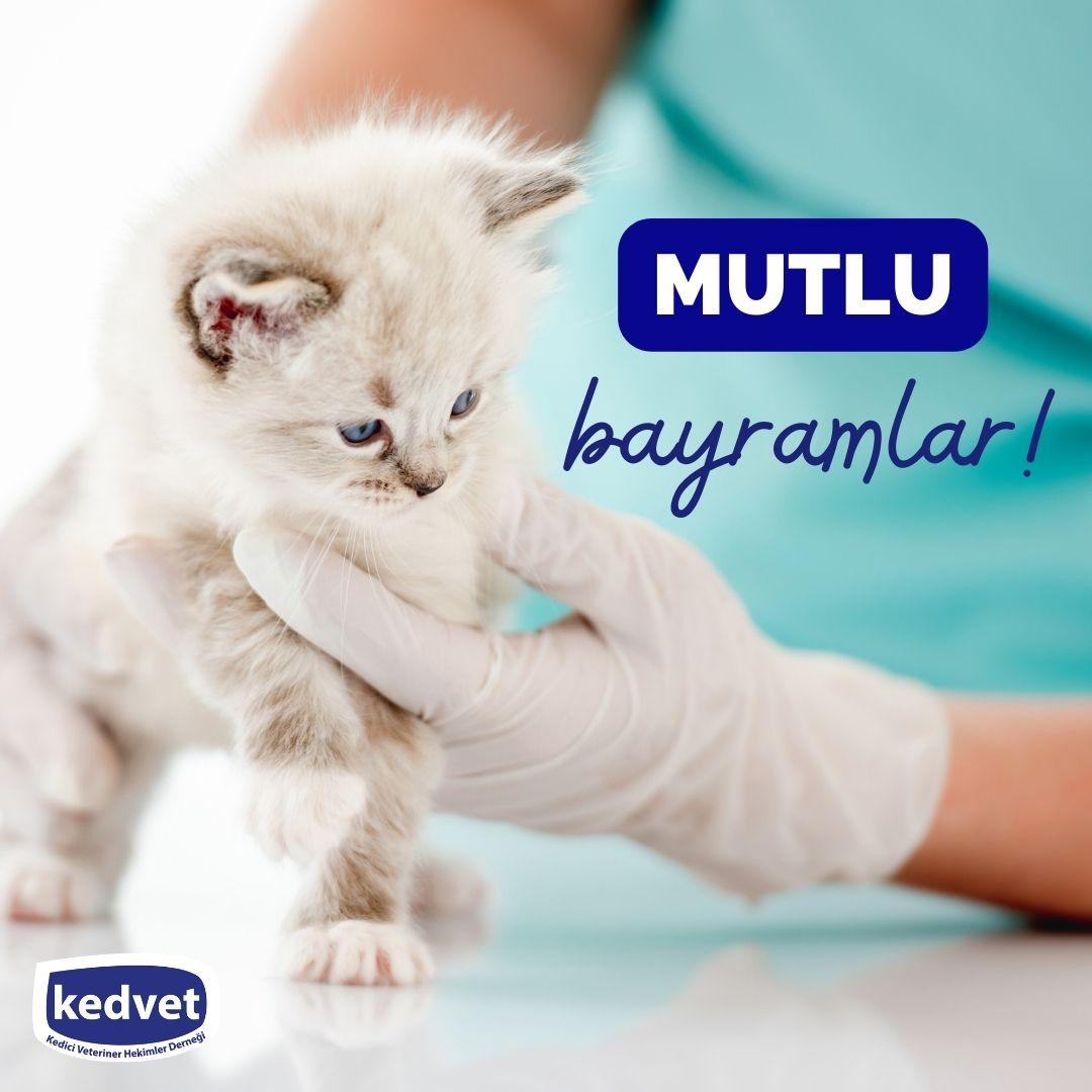 Sevdiklerinizle birlikte mutlu bayramlar. Bayramınız kutlu olsun.