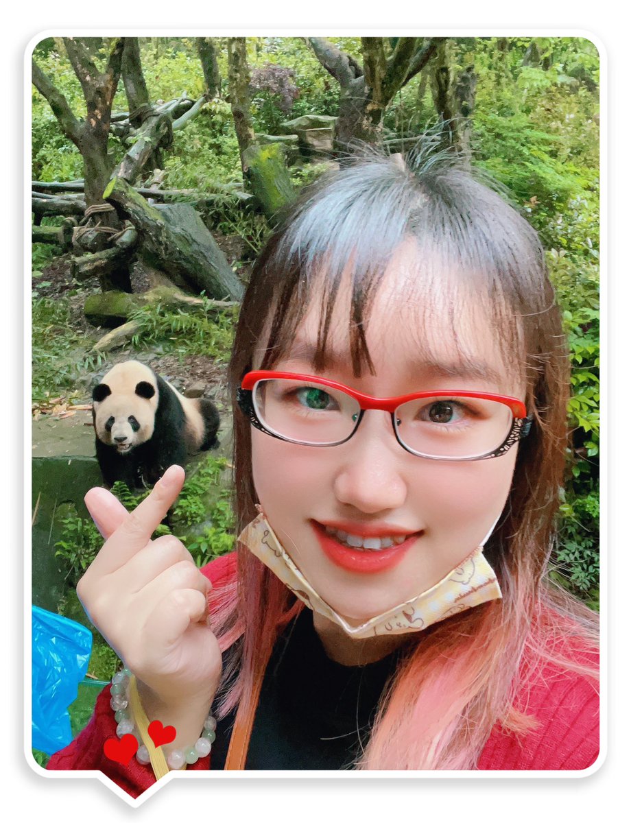 P_cicy's tweet photo. 和大熊猫、小熊猫合照到啦～～～
in四川成都. 熊猫谷🐼 https://t.co/2jmvgkG975