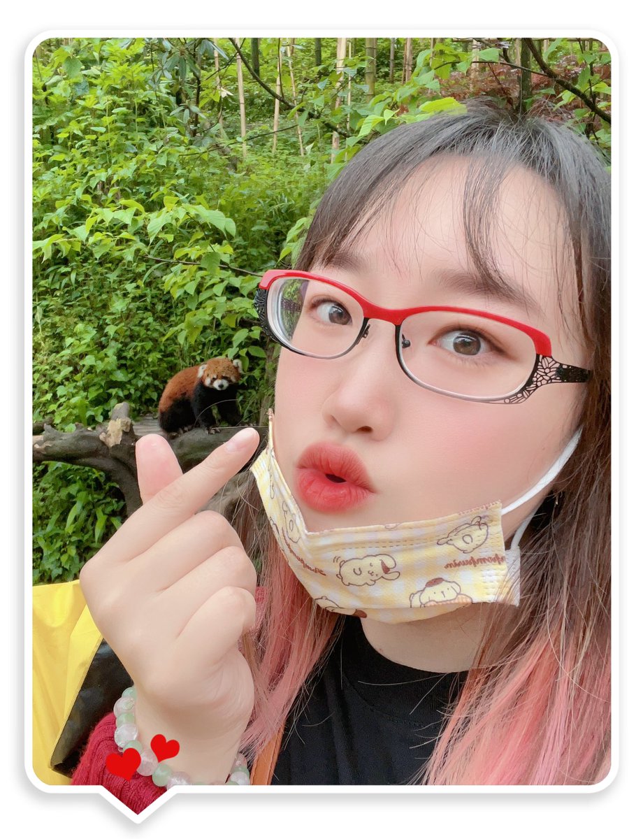 P_cicy's tweet photo. 和大熊猫、小熊猫合照到啦～～～
in四川成都. 熊猫谷🐼 https://t.co/2jmvgkG975