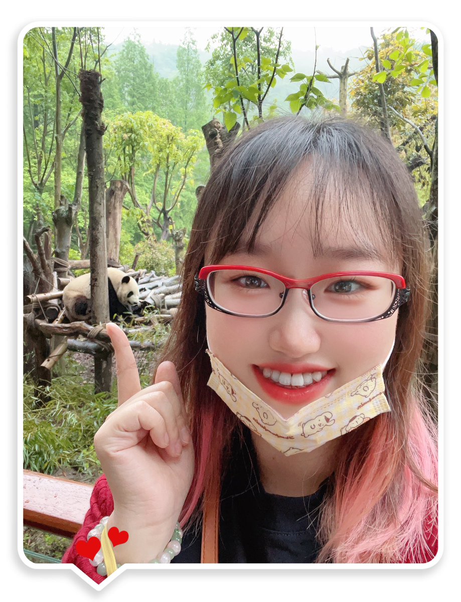 P_cicy's tweet photo. 和大熊猫、小熊猫合照到啦～～～
in四川成都. 熊猫谷🐼 https://t.co/2jmvgkG975