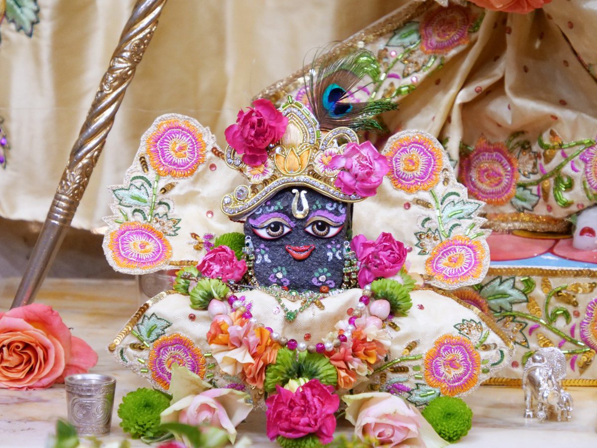 iskconlondon's tweet photo. Today's Deity darshan in Hot Pink and Cream with Roses #krishna #radharani #radhakrishna #girigovardhan #gauranitai #jagannath #baladev #subhadra #srilaprabhupada #deities https://t.co/bXROoOsZAs