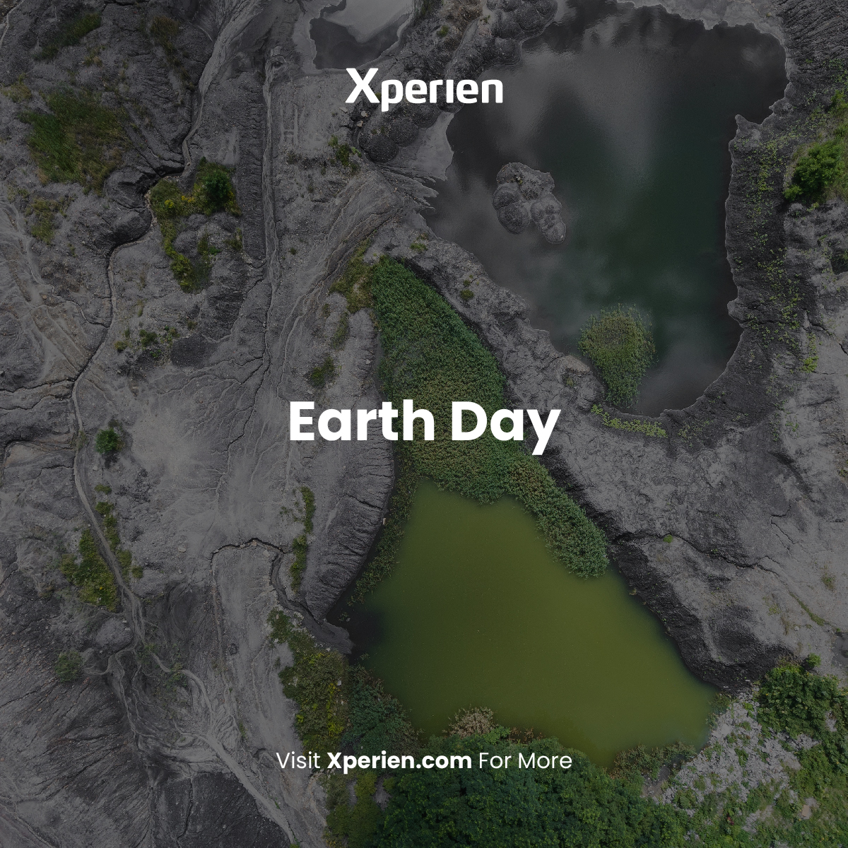 Xperien's tweet photo. Happy Earth Day from Xperien! 🌍️♥️

We believe that every day should be earth day

That's why we are committed to reducing e-waste &amp; promoting sustainable practices in the IT industry https://t.co/7rCz8fBotL
