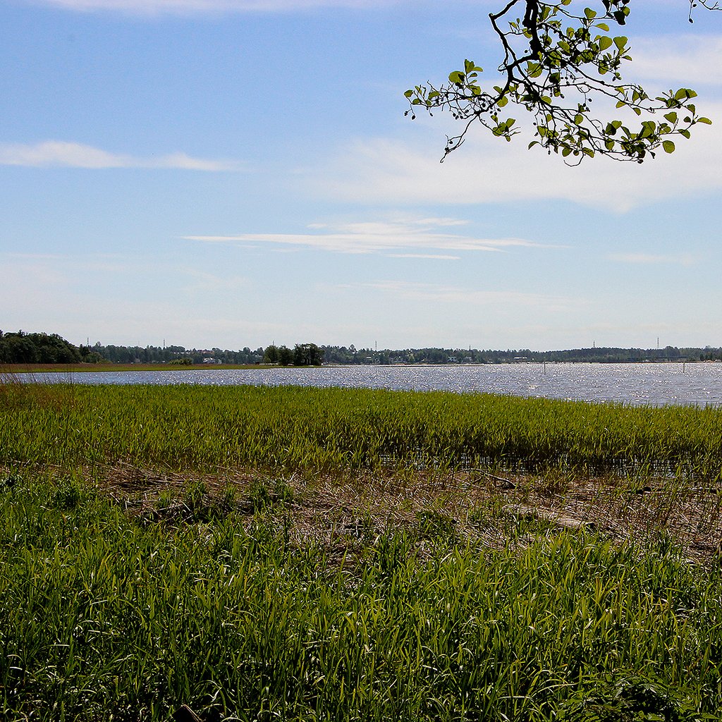 Työtä tarjolla!

Luonnonsuojelu, kaksi ylitarkastajaa (määräaikaisuus): valtiolle.fi/fi-FI/ilmoitus…

Määräaikainen luonnonsuojeluasiantuntija: valtiolle.fi/fi-FI/ilmoitus…