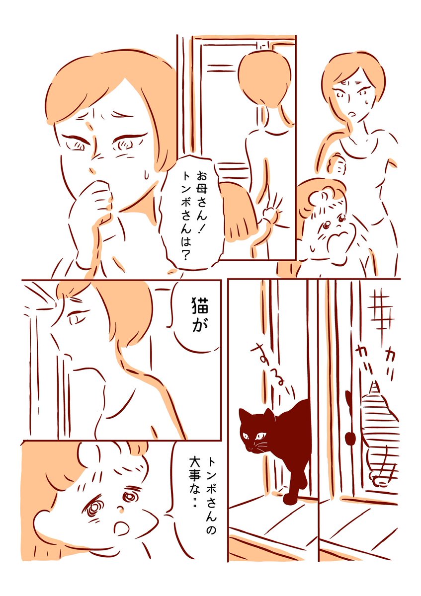 4/5 
