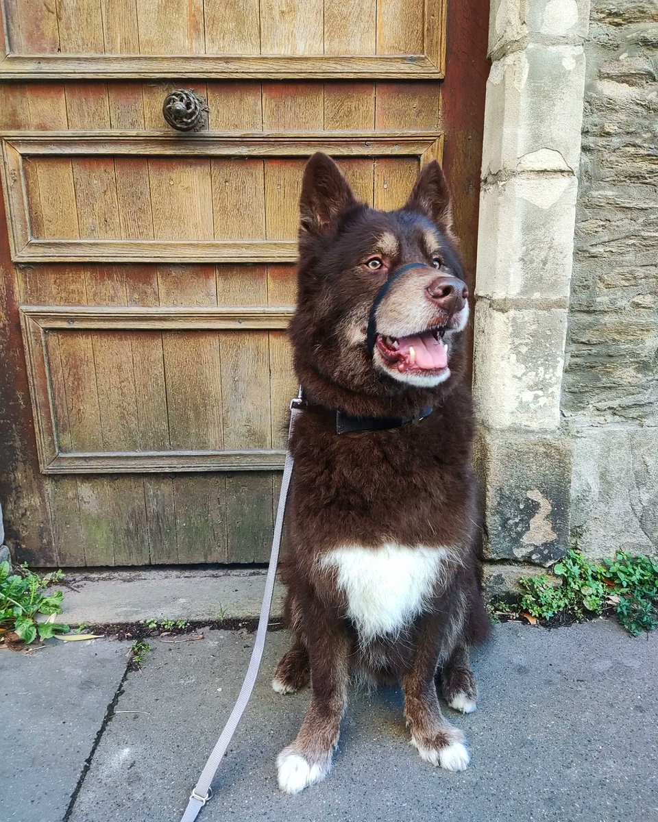 Ronar Le Sournois tweet media