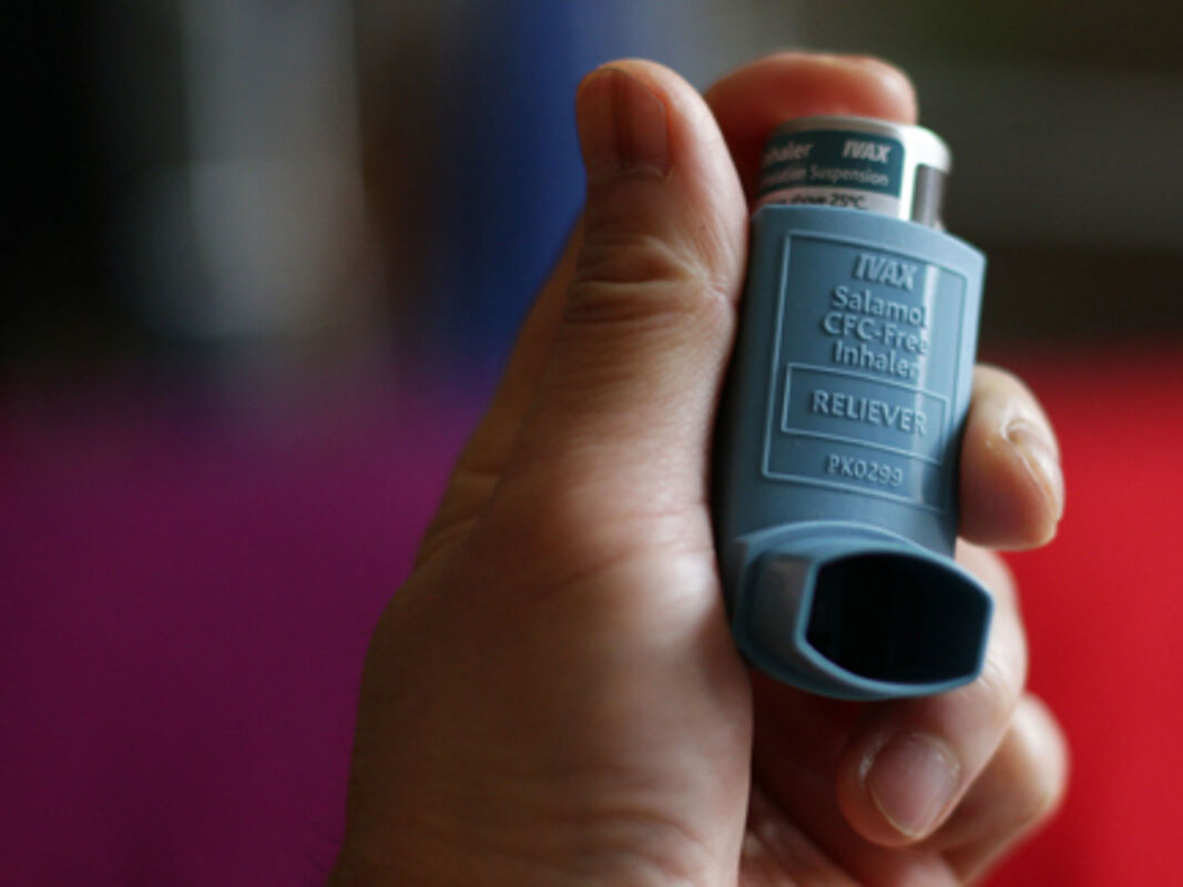 FayezWork3322's tweet photo. The charity has helped over 31 people the last 2 weeks providing them with equipment such as Inhalers.
#SaturdayStatistics #Inhaler https://t.co/QLlNMdx7CK