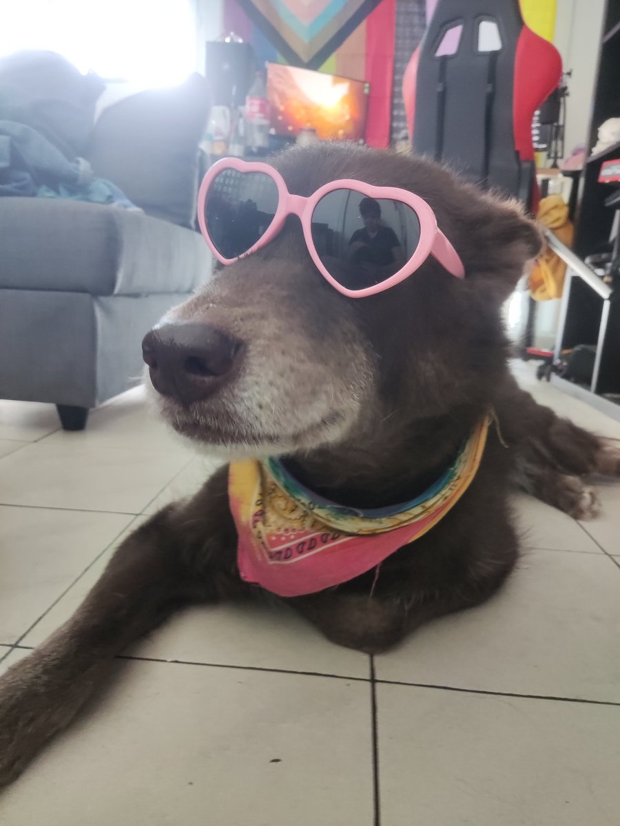 Ronar Le Sournois tweet media