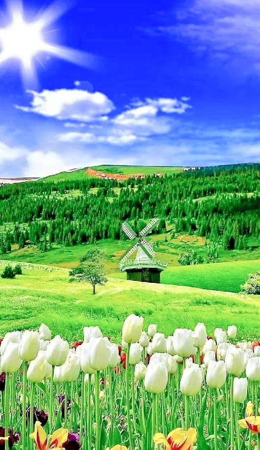 TLeoni311's tweet photo. Beautifull day for all 🤍💙💚 https://t.co/atHAQ4kzoW