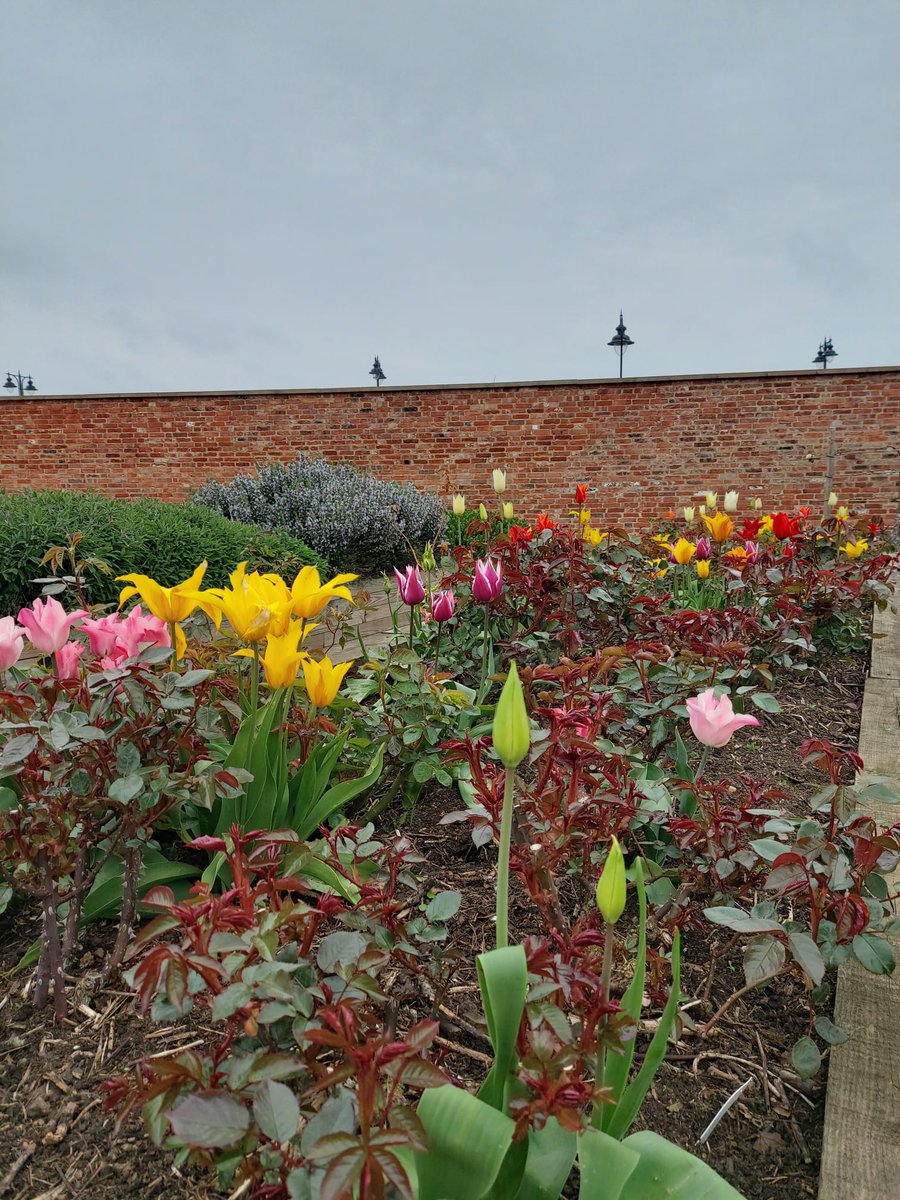 HighGround_UK's tweet photo. Jane at Stanford Hall needed to move 5 tonnes of @Topsoil_BS topsoil to make way for stone in the Village Green. #thankyou to @dms_dmrc staff, garden volunteers, Tim Lever and our trustee Tim Green who mucked in and made it possible.
#Rootstorecovery #outdoorsisbetter https://t.co/aKLAe7ilHk