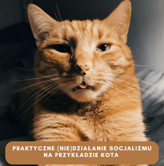 BachanskiCezary's tweet photo. PRAKTYCZNE (NIE)DZIAŁANIE SOCJALIZMU NA PRZYKŁADZIE KOTA

Poznajcie Ryszarda. Rysio jest zagorzałym socjalistą. Ma gwarantowany dochód podstawowy w postaci chrupek, a także mieszkanie, które jest prawem, a nie towarem.

Ryszard od blisko 9 lat nie wychodził z domu. Dlaczego? Bo nie musiał. Po kilku latach wybrał się w trudną podróż na działkę, gdzie do domu przedostała się mysz. Zwierzak, który z natury jest drapieżnikiem, powinien ją upolować.

Zamiast to zrobić, to obserwował, jak mysz chodzi po domu i nie zamierzał zareagować. Dlaczego? Bo mysz nie jest mu potrzeba żeby się najeść. Wie, że za godzinę dostanie jedzenie.

Po latach spędzonych w domu, nie zna świata poza nim, który z punktu widzenia zwierzaka powinien być ciekawy. Po otwarciu drzwi wejściowych, gdzie mógł radośnie łapać motyle i polować na muchy – nie chciał przekroczyć progu.

Lata socjalnego dobrobytu pozbawiły go wszelkich instynktów.  Nie poradziłby sobie w świecie innych kotów. Czas nauczył go jednak bycia roszczeniowym.

Brak odpowiedniego smakołyku w nocy prowadzi do licznych protestów i żądań natychmiastowej reakcji. Wie, że wywierając presję na właściciela (władzę), jest to w stanie osiągnąć. Przecież zawsze tak było. Nie potrafi sobie poradzić bez podstawowych dodatków socjalnych oraz bez właściciela (państwa).

Wyobraźcie sobie teraz, co by było jakby zabrać 500+. Chcecie mieć wściekłe społeczeństwo i miauczenie w środku nocy? Każdy do dobrego szybko się przyzwyczaja i staje się takim Rysiem.

Problem się zaczął, kiedy pojawił się w domu drugi kot. Kot jest łowny, samodzielny, jest wzorem zaradności. Wie, że to co chce dostać – musi sobie wywalczyć. Misia żeby otrzymać chrupki wie, że trzeba wykonać jakąś pracę. Daje się wtedy przytulić, jest kochana i dostaje co chce.

Jak nie ma właściciela, a Misia chce chrupki, to wykorzystuje Rysia i robi z niego robotnika. Miśka zmusza go do otworzenia szafki, gdzie jest pożywienie. Następnie szybko przybiega, zje ile się da, a dla Ryszarda zostają resztki. Przez to, że nie potrafił polować. Odebraliśmy mu tę umiejętność.

Rysio nie myśli samodzielnie, bo nie musi. Co się stanie, kiedy będzie musiał? Nie przetrwa. W momencie kryzysu gospodarczego (braku chrupek), nie będzie w stanie zorganizować sobie pożywienia bez ingerencji właściciela.

Jest jedna zasadnicza różnica pomiędzy naszymi politykami, a Ryszardem i Misią. Kiedy one widzą, że kończy się jedzenie w misce, to starają się oszczędzać i nie jeść ponad stan, to nasze społeczeństwo i władza zjada chrupki razem z miską i nie oszczędza na trudniejszy czas.