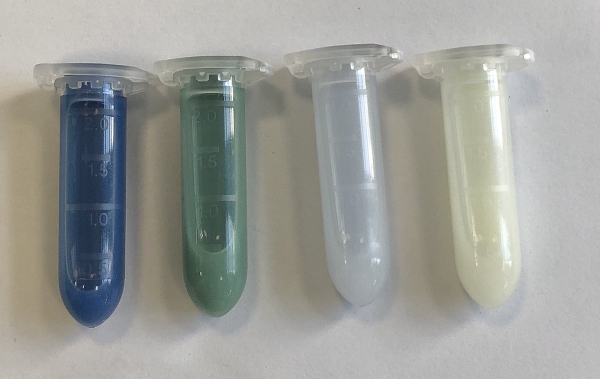 sousaraei's tweet image. Happy #FluorescenceFriday 🤩 #luminescent #MOFs #OpticalSensors #RealTimeChem #EidMubarak2023