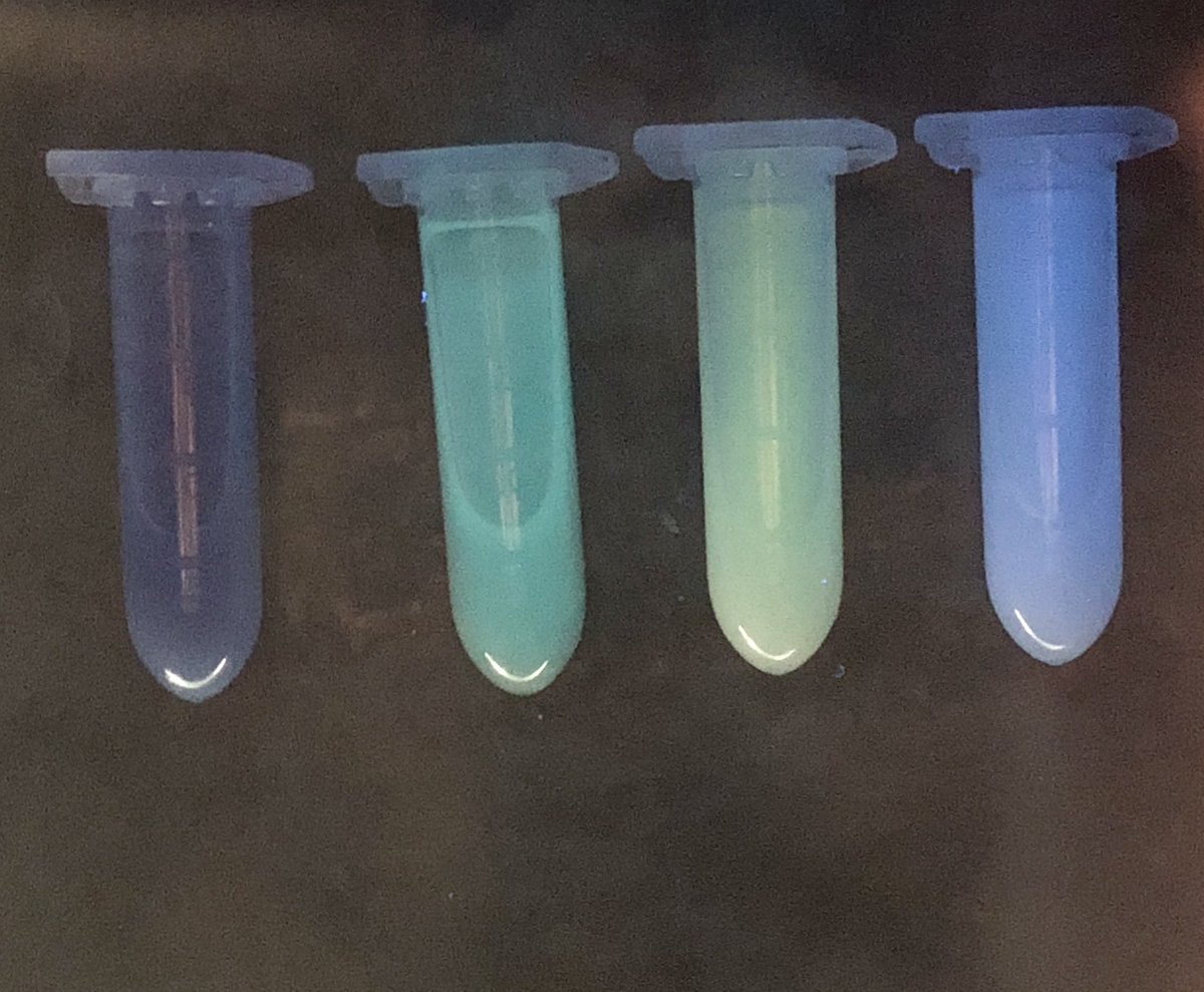 sousaraei's tweet image. Happy #FluorescenceFriday 🤩 #luminescent #MOFs #OpticalSensors #RealTimeChem #EidMubarak2023