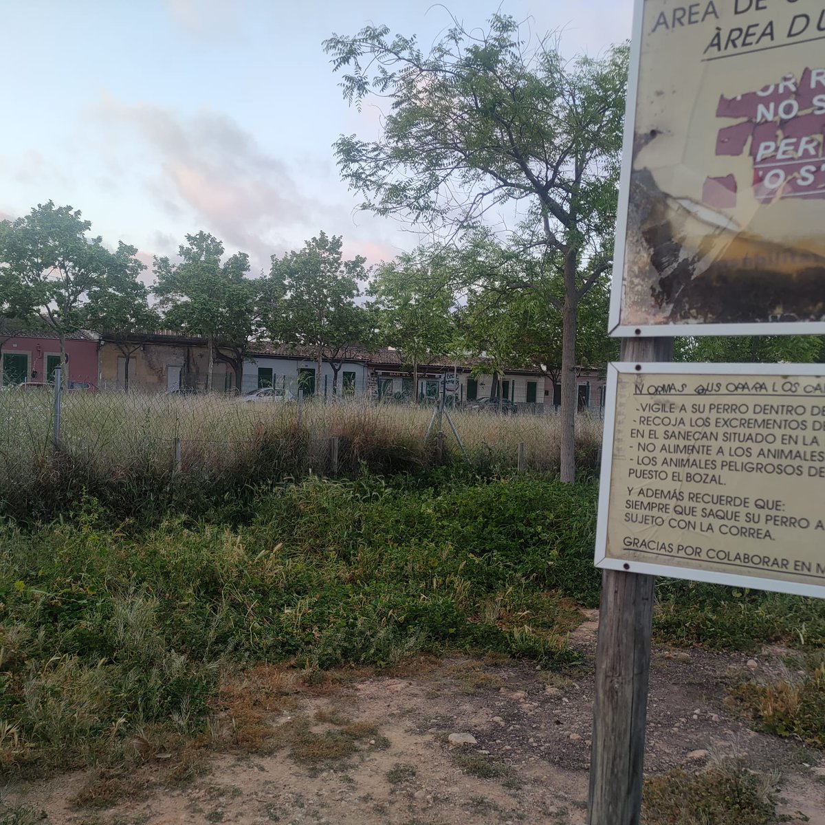 pepbauza's tweet photo. En Comisión nos comentaba la exquisita limpieza de estas zonas de ocio canino el Regidor de Medio Ambiente y a la vista está, es lo que hay en la zona del Mercadona en la carretera de Sóller. Se lo han olvidado, de ahí su extremo abandono. #Palmacomoencasa #Palmaciudadintegradora https://t.co/LR1CrB90XI