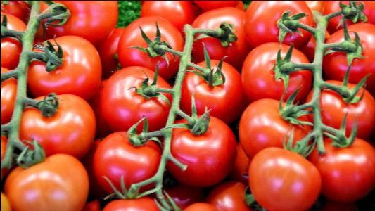 What's new from Box Local - mailchi.mp/79f6c0f2316d/y…