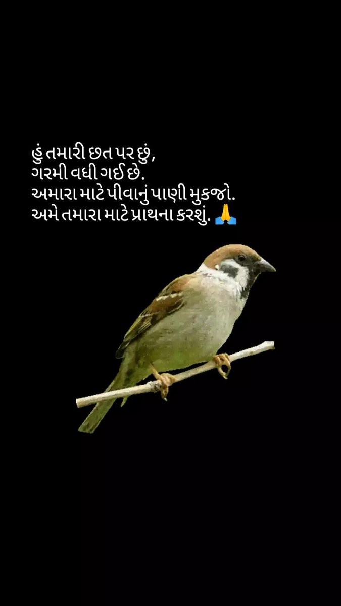 pritiesanjay's tweet photo. @SeemaSh46712468 @kumarmukund @NatGeoPhotos @WildlifeMag @NatGeo @NikonIndia @NatureIn_Focus https://t.co/zReasIOt6V
