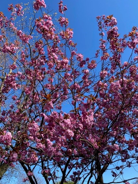 Ane Edslev Jacobsen (@aneedslev) on Twitter photo My stay <a href="/GlobalDevInst/">Global Development Institute</a> & <a href="/USPSheffield/">Urban Studies and Planning at Sheffield University</a> has ended. THANK U <a href="/GoodfellowTom/">Tom Goodfellow</a> & <a href="/sam_b_hickey/">Sam Hickey</a>, for hosting me & - w. <a href="/pritishbehuria/">Pritish Behuria</a>, @t_a_gillespie, <a href="/Lindzilia/">Lindsay Sawyer</a>, @cummings_clare, @AnomieGeog, <a href="/KinEz_II/">Ezana Haddis Weldeghebrael</a>, @E_A_Dessie, <a href="/NicolabanksNM/">Nicola Banks</a>, Ademola Omoegun etc - for GREAT feedback and company! My stay <a href="/GlobalDevInst/">Global Development Institute</a> & <a href="/USPSheffield/">Urban Studies and Planning at Sheffield University</a> has ended. THANK U <a href="/GoodfellowTom/">Tom Goodfellow</a> & <a href="/sam_b_hickey/">Sam Hickey</a>, for hosting me & - w. <a href="/pritishbehuria/">Pritish Behuria</a>, @t_a_gillespie, <a href="/Lindzilia/">Lindsay Sawyer</a>, @cummings_clare, @AnomieGeog, <a href="/KinEz_II/">Ezana Haddis Weldeghebrael</a>, @E_A_Dessie, <a href="/NicolabanksNM/">Nicola Banks</a>, Ademola Omoegun etc - for GREAT feedback and company!