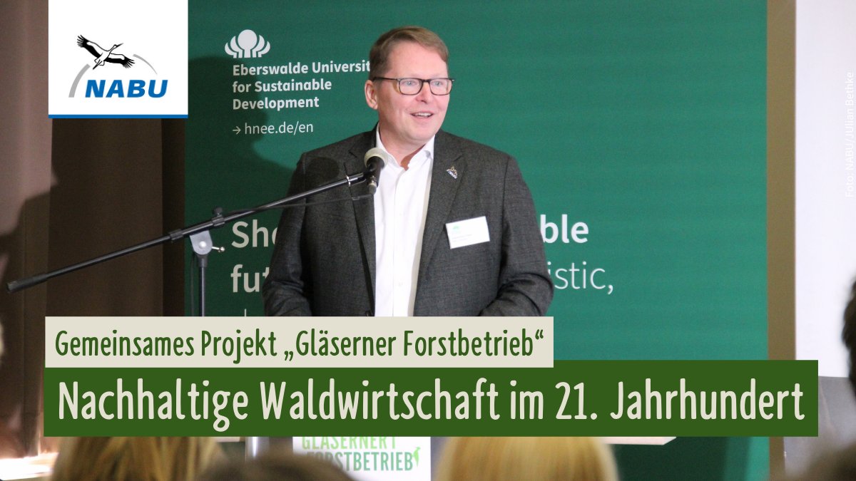 NABU_de's tweet photo. 🌳 Wie kann eine naturverträgliche #Wald|wirtschaft in Zeiten der #Klimakrise gelingen? Das interdisziplinäre Forschungsprojekt „Gläserner Forstbetrieb“ liefert dazu Antworten. Die Erkenntnisse wurden heute in Eberswalde präsentiert. 
Mehr erfahren 👉 https://t.co/0SEL0r5IEi https://t.co/PqdaeBHFWq