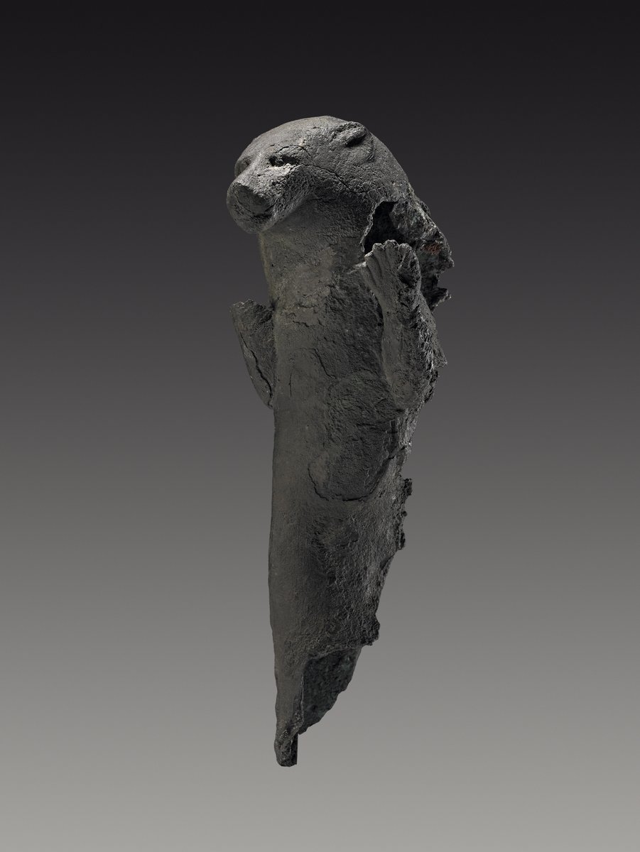 Aurelia Masson-Berghoff tweet media