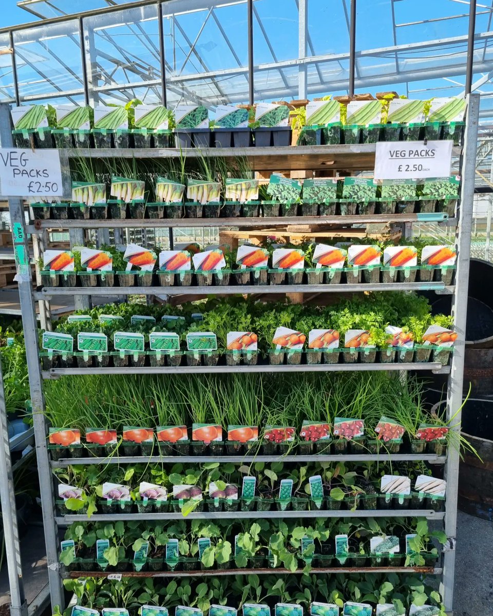 ChansonFlowers's tweet photo. We have had another fresh delivery of Vegetable  packs 🥕 

A great selection to choose from!

£2.50 each ✅️ 

Chanson Flowers 
Nut Lane
Wrangle
Boston 
Pe22 9JF 

OPEN 7 DAYS A WEEK 🌷

#growyourown #vegplants #lincs #garden https://t.co/MCtgwDK1OQ